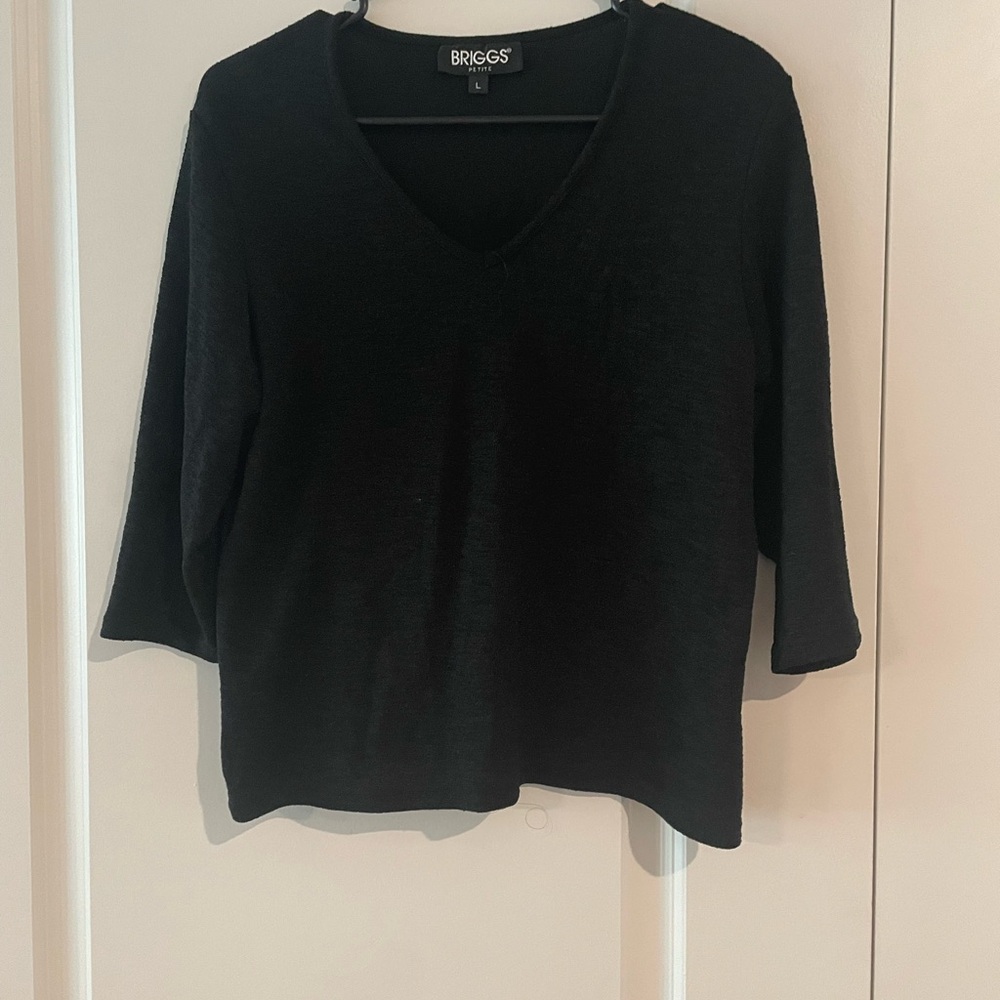 Briggs Elegant Black V-Neck petite Blouse